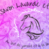 Savon lait et lavande - lavande 1