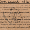 Savon lait et lavande - lavande 2